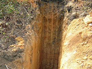 Hand auger borings