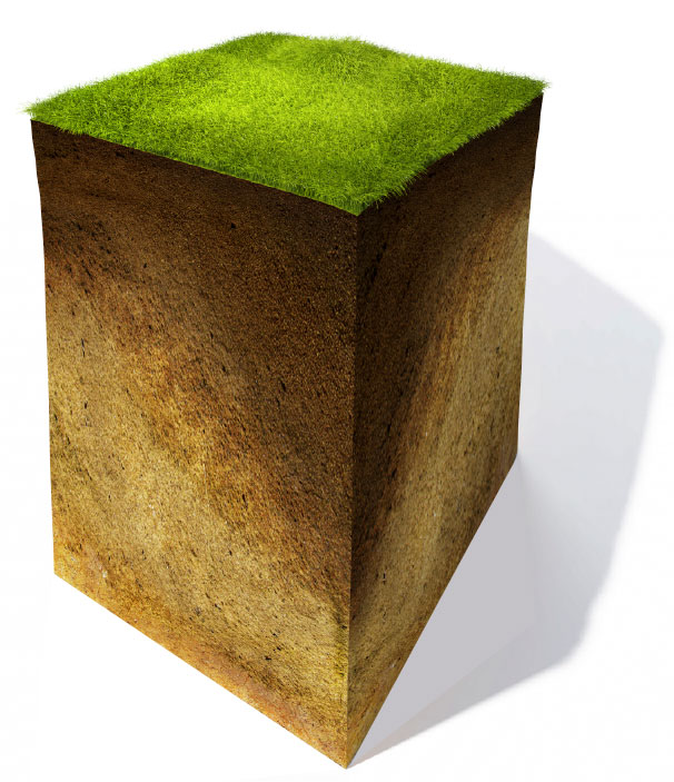 Anatomy of a soil sample